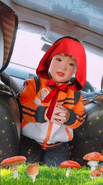 小红帽搞笑版,一场啼笑皆非的森林奇遇