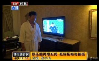 张耀扬老婆个人资料,揭秘影视圈才女背后的故事